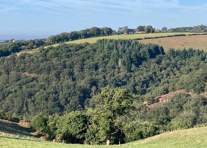 Glamping Tent In De Rust, Met Zwembad, Badkamer En Keuken ラグジュアリーテント *