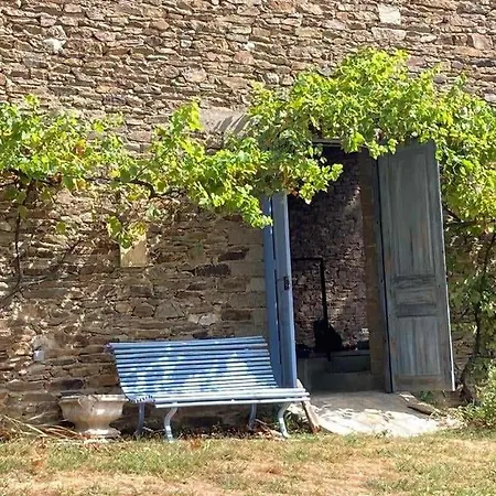 Lyxtält Glamping Tent In De Rust, Met Zwembad, Badkamer En Keuken *